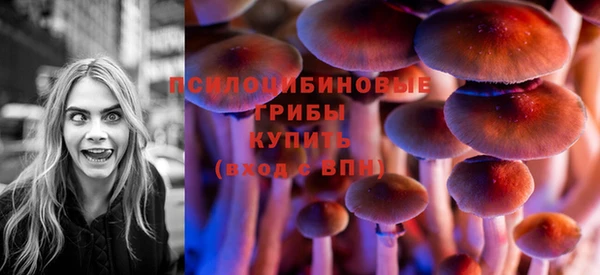 сатива Карпинск