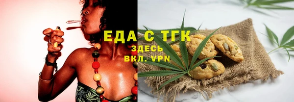 сатива Карпинск