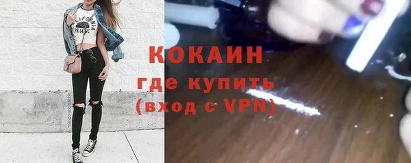 сатива Карпинск