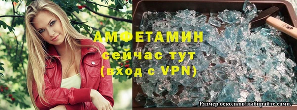 сатива Карпинск