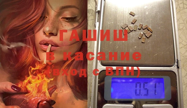 сатива Карпинск