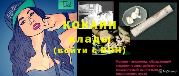 сатива Карпинск