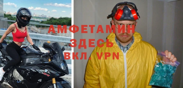 сатива Карпинск