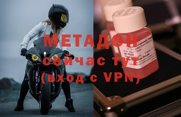 сатива Карпинск