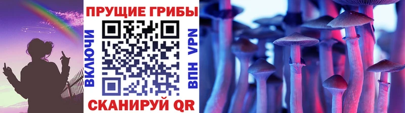 Купить где  Пошехонье  Галлюциногенные грибы Magic Shrooms 